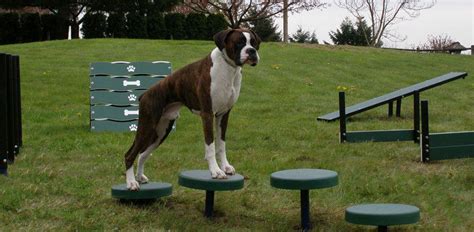 Dog Park Equipment - General Recreation Inc