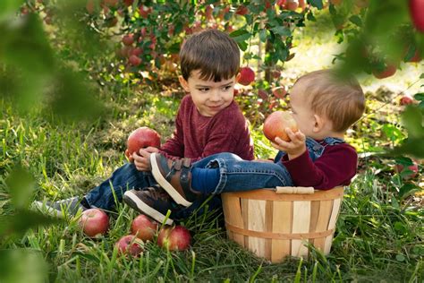 Apple Orchard Photoshoot - Victoria Christine Photography