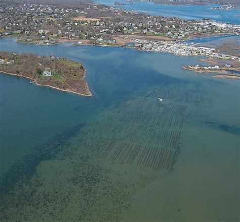 Matunuck Oyster Farm