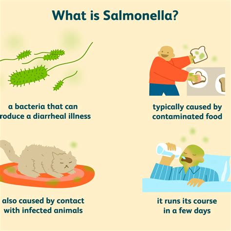 Salmonella - Denmark Links Deadly Salmonella Outbreak To Herbal ...