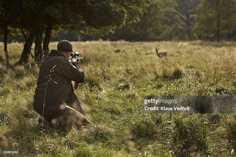 Male Hunter Aiming At Deer With Rifle High-Res Stock Photo - Getty Images