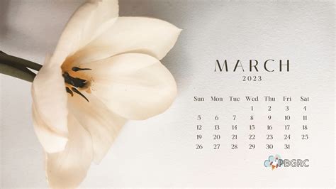 Cute March 2023 Calendar Floral Wallpaper HD | Calendar wallpaper ...