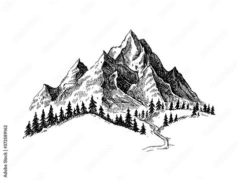 Mountain with pine trees and landscape black on white background. Hand ...