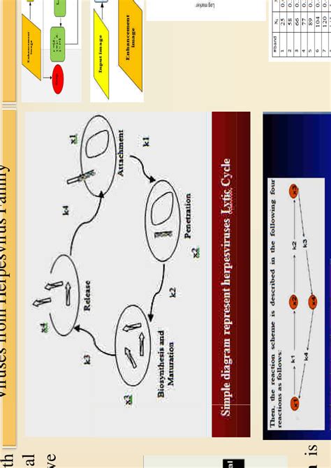 (PDF) BioMathematics