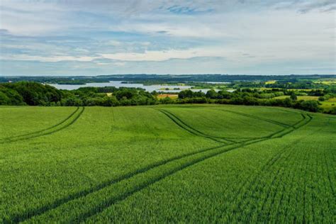 50+ Skanderborg Lake Stock Photos, Pictures & Royalty-Free Images - iStock