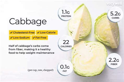 Cabbage Nutrition Facts and Health Benefits | Dr Farrah MD