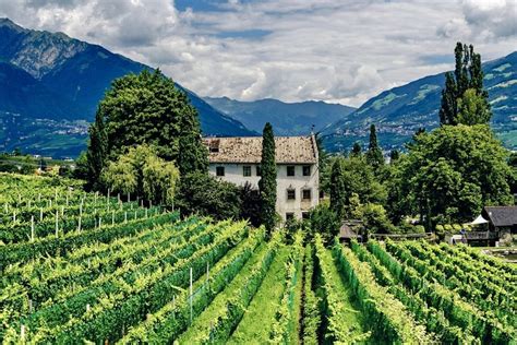 7 Reasons to Add a Wine Tour to Your Bucket List — Femestella