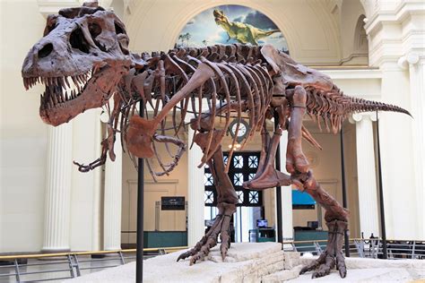 The Best Dinosaur Museums in the World | Reader's Digest