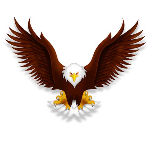 Painted flight bird bald eagle in front – Artofit