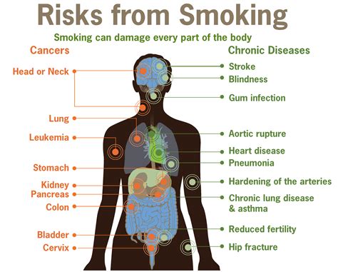 Alfa img - Showing > Harmful Smoking Effects