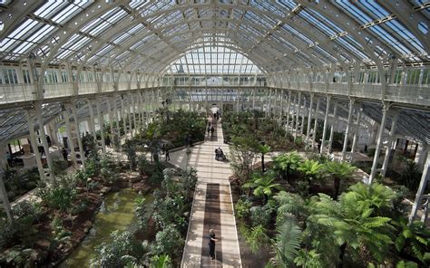 World's largest glasshouse at Kew Gardens reopens, in pictures - News