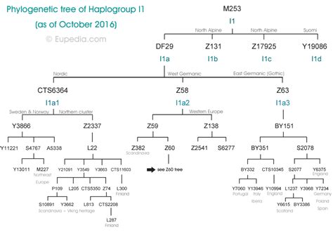 Phylogenetic tree of haplogroup I1 (Y-DNA) - Eupedia | Phylogenetic ...