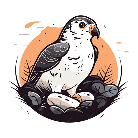 Premium Vector | Peregrine falcon sitting on the nest Vector illustration