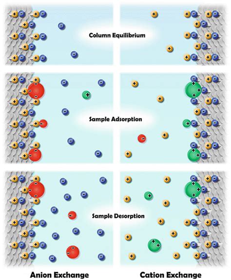 What is the ion exchange chromatography procedure? - FAQ - Taiyuan ...