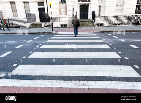 Zebra Crossing's Instagram, Twitter & Facebook on IDCrawl