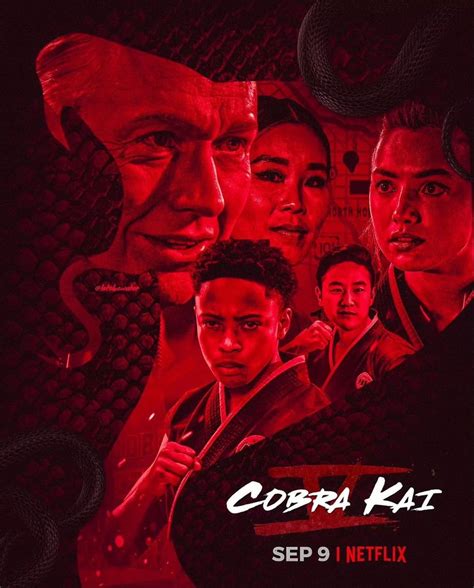 Cobra Kai season 5 poster 2 in 2022 | Karate kid cobra kai, Cobra kai ...