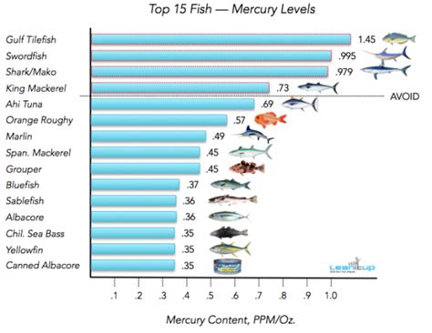 Mercury Level in Tuna Reaching Alarming Levels | Mercury in fish, High ...