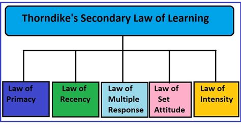 Throndike's Secondary Law of Education