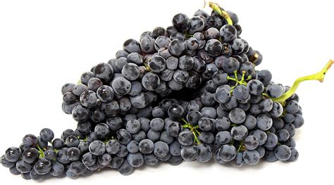 Pinot Noir Grapes Information and Facts