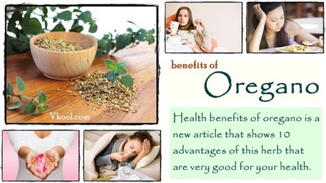 Top 10 Health Benefits Of Oregano