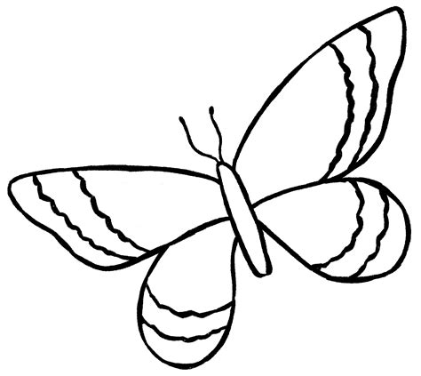 Butterfly Drawing {6 Easy Steps}! - The Graphics Fairy