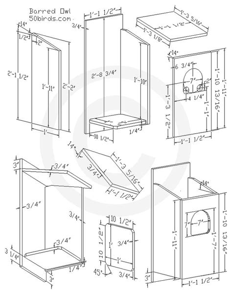 Barred Owl Nest Box Plans - 70birds | Bird house plans free, Bird house ...