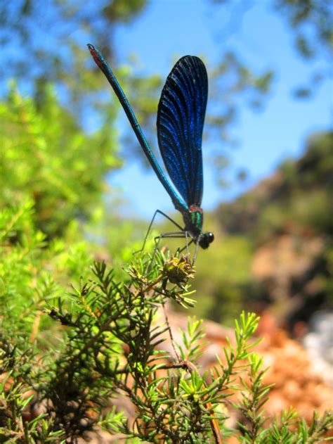 The fameless Waterfalls of Samothraki | Places behind Things…