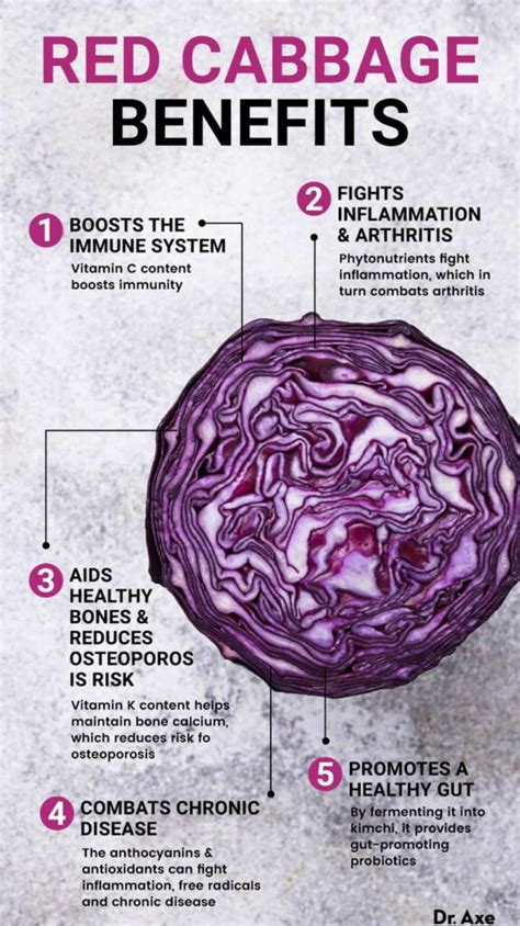 Red Cabbage Nutrition, Benefits, Uses, Recipes and More - Dr. Axe