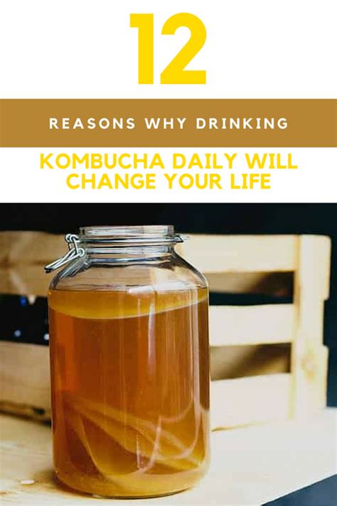 Kombucha Benefits: 12 Reasons Why Drinking It Daily Will Change Your Life