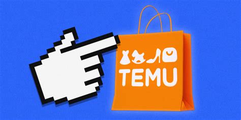 Shoppers are flocking to Temu for cheap deals — but will the novelty last?