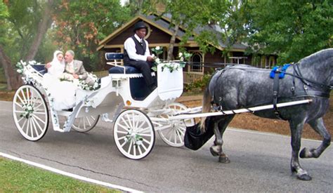 Horse Carriage Rides Texas, Wedding Horse Carriage, Horse Drawn ...