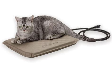 Top 6 Best Heated Cat Bed Reviewed and Buying Guide