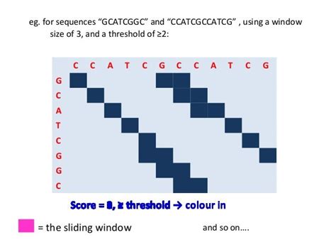 Dotplots for Bioinformatics