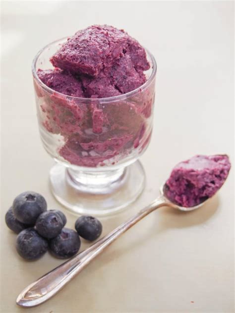 Blueberry frozen yogurt - Caroline's Cooking