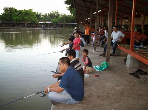 Trik Mancing Ikan Mas Di Kolam - Hobi Mancing