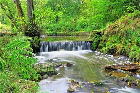 Forest of Dean & Wye Valley Guided Walking - HF Holidays