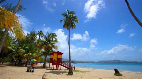 Luquillo Beach Resort: An Oasis of Serenity and Adventure | Wavecrea