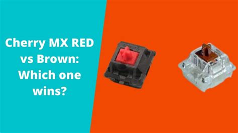 Cherry MX RED vs Brown: Which one Wins?