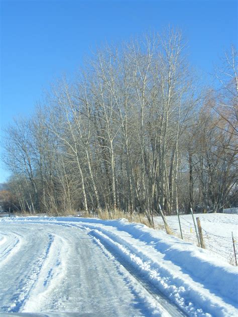 Bitterroot snow | Bitterroot Valley, Montana, 2009 | Corwyn Celesil ...