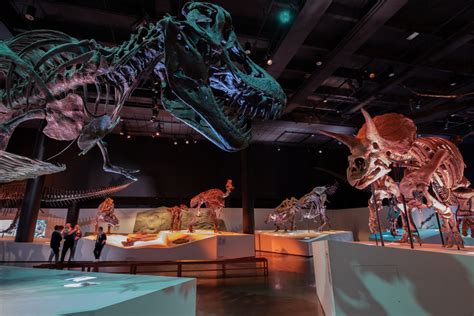 Expert’s Guide: Houston Museum of Natural Science | Houstonia Magazine