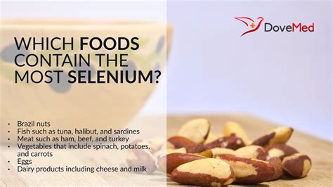 Which Foods Contain The Most Selenium?