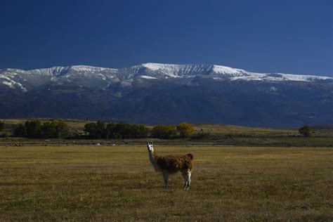 Elevation of Mount Pleasant, Mt Pleasant, UT, USA - Topographic Map ...