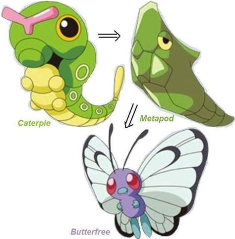 Caterpie Evolution | Pokemon firered, Dragon type pokemon, Pokemon