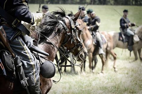 Cavalry: Impact and Evolution in Military History - All About Horses