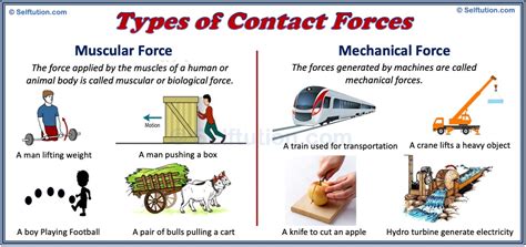 Types of Forces in Physics with Examples » Selftution