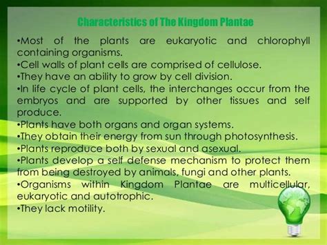 Kingdom Plantae