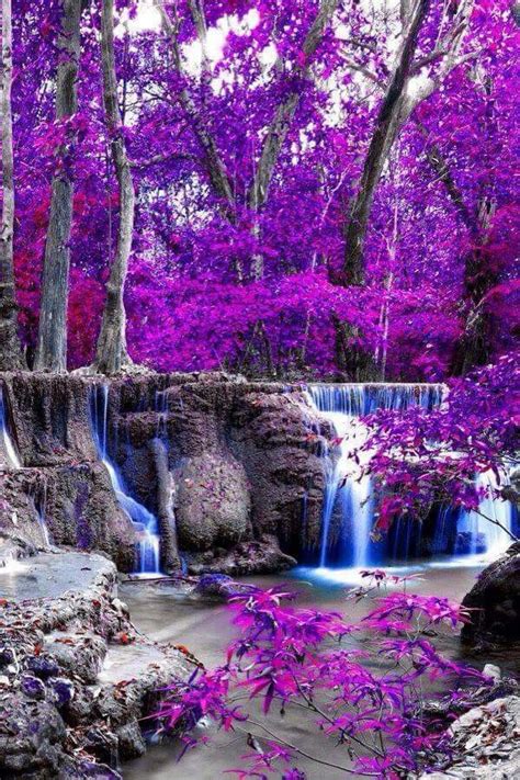 37 best Purple Scenery images on Pinterest | Lavender, Purple stuff and ...