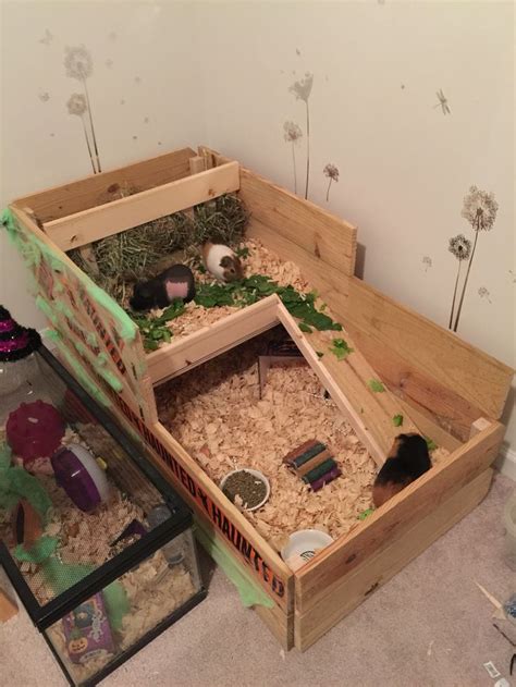 The 25+ best Indoor guinea pig cage ideas on Pinterest | Guinea pig ...