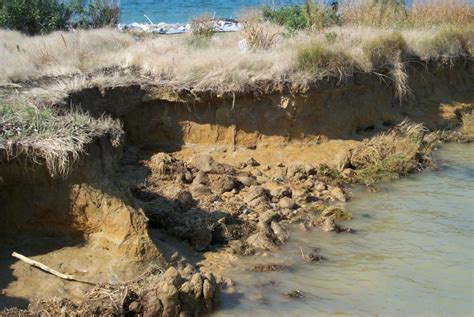 Modeling Erosion in Chesapeake Bay: Waves, Sediment, and Seagrass ...