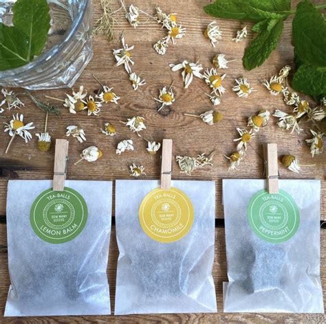 FIVE OF THE BEST TEA GROWING KITS… – THE VILLAGE KITCHEN